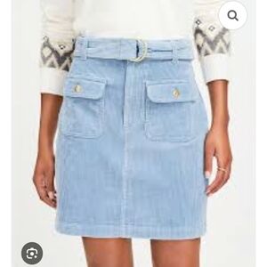 Light Blue Women's Skirt